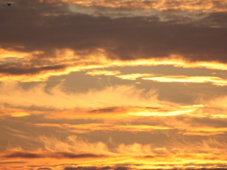 Cloudbusting (3)