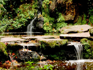 Fairy Glen in Autumn