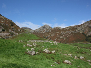 Langdales in Summer
