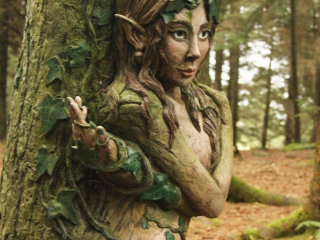 Elfin