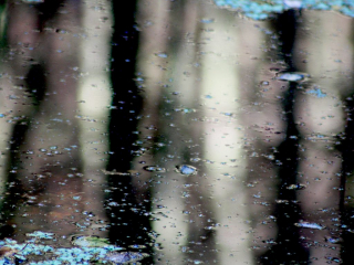Reflection no 1