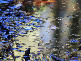 Reflection no 2