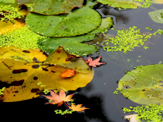 Reflection no 3