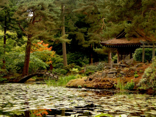 Tatton Park Japanese Garden