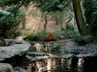 Fairy Glen in Winter
