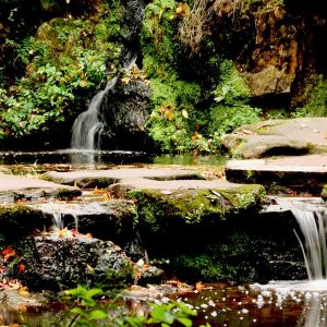Fairy Glen in Autumn (16 × 12 inches)