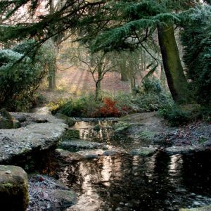 Fairy Glen in Winter (16 x 12 inches)