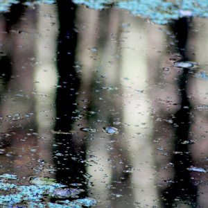 Reflection no 1 (16 × 12 inches)