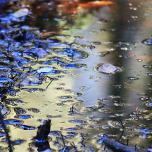 Reflection no 2 (16 × 12 inches)