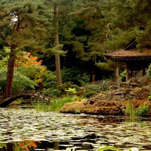 Tatton Park Japanese Garden (16 × 12 inches)
